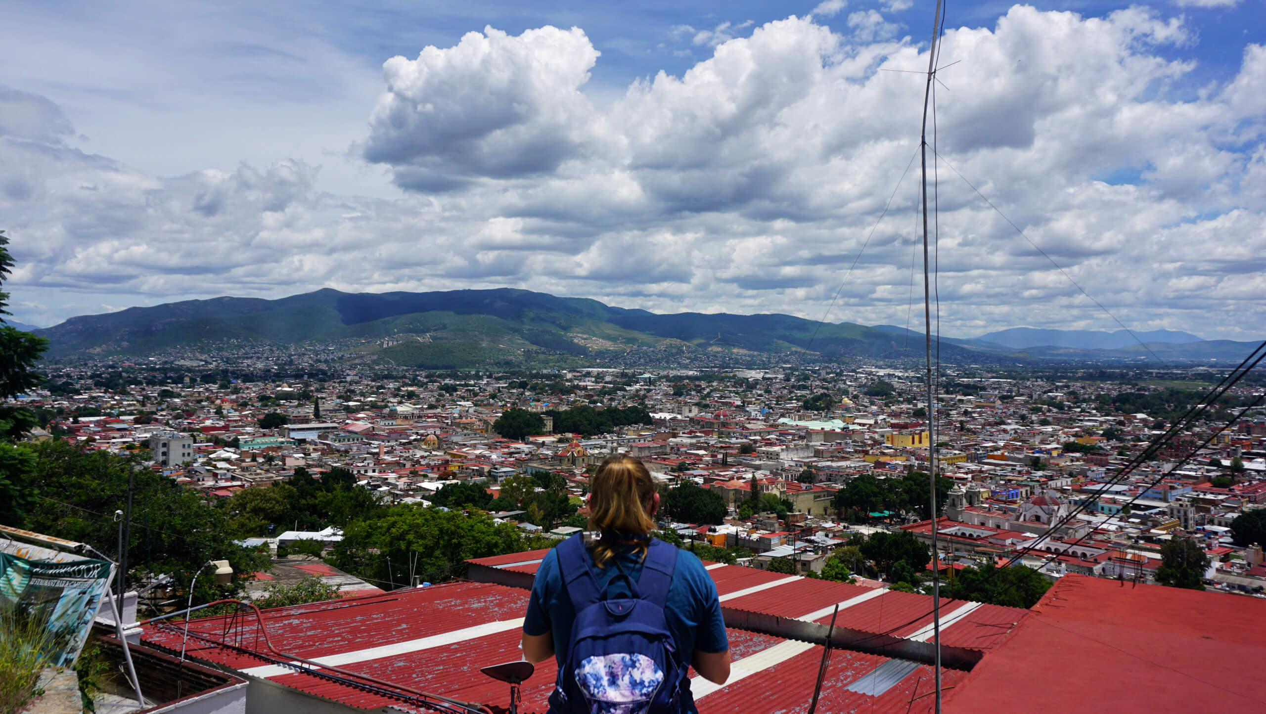 (Weeks 11 to 14) State of Oaxaca