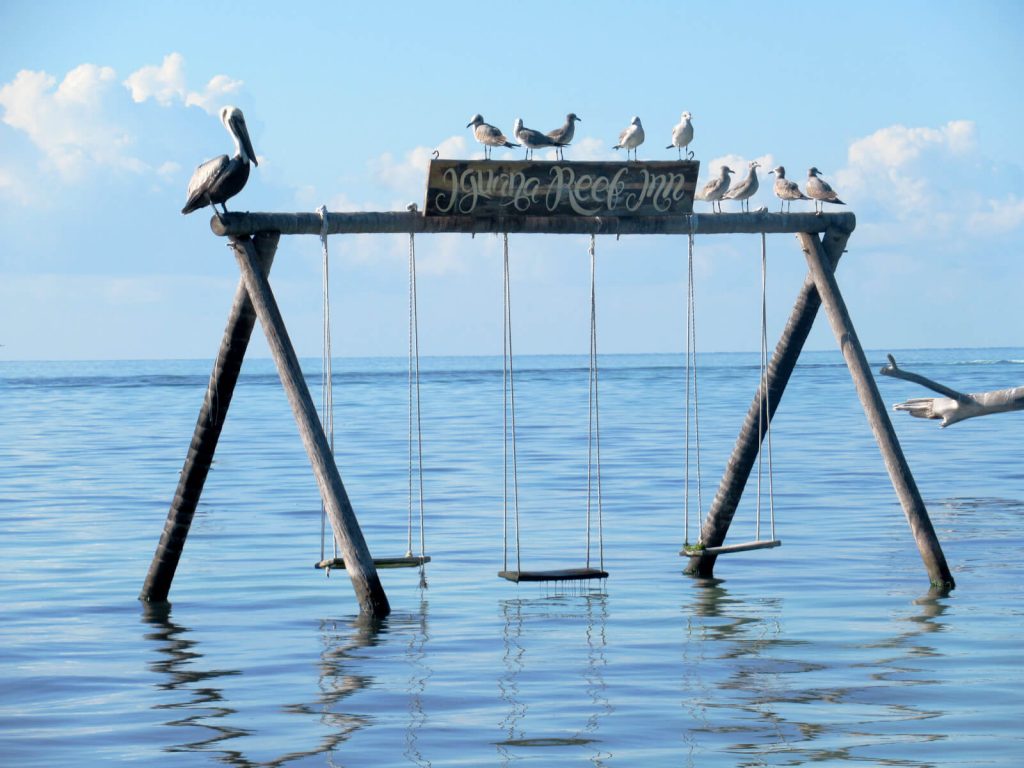 Three over-water swings made of wood. The sign above reads 'Iguana Reef Inn'. A pelican and seagulls sit on the horizontal top of the swings